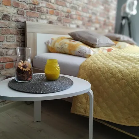 Апартаменты U Baski *