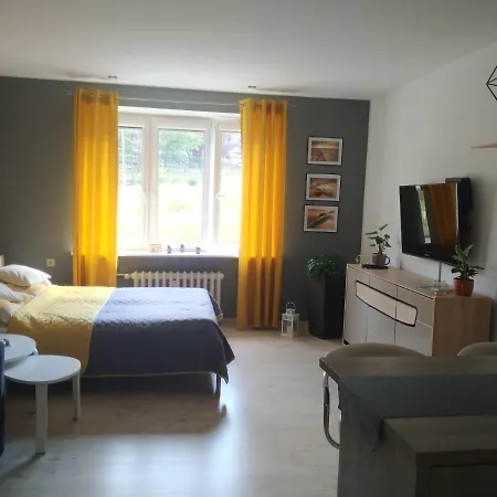 U Baski Апартаменты *